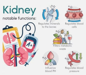 Sugar Control Acupressure Clip - Mediwell Organics
